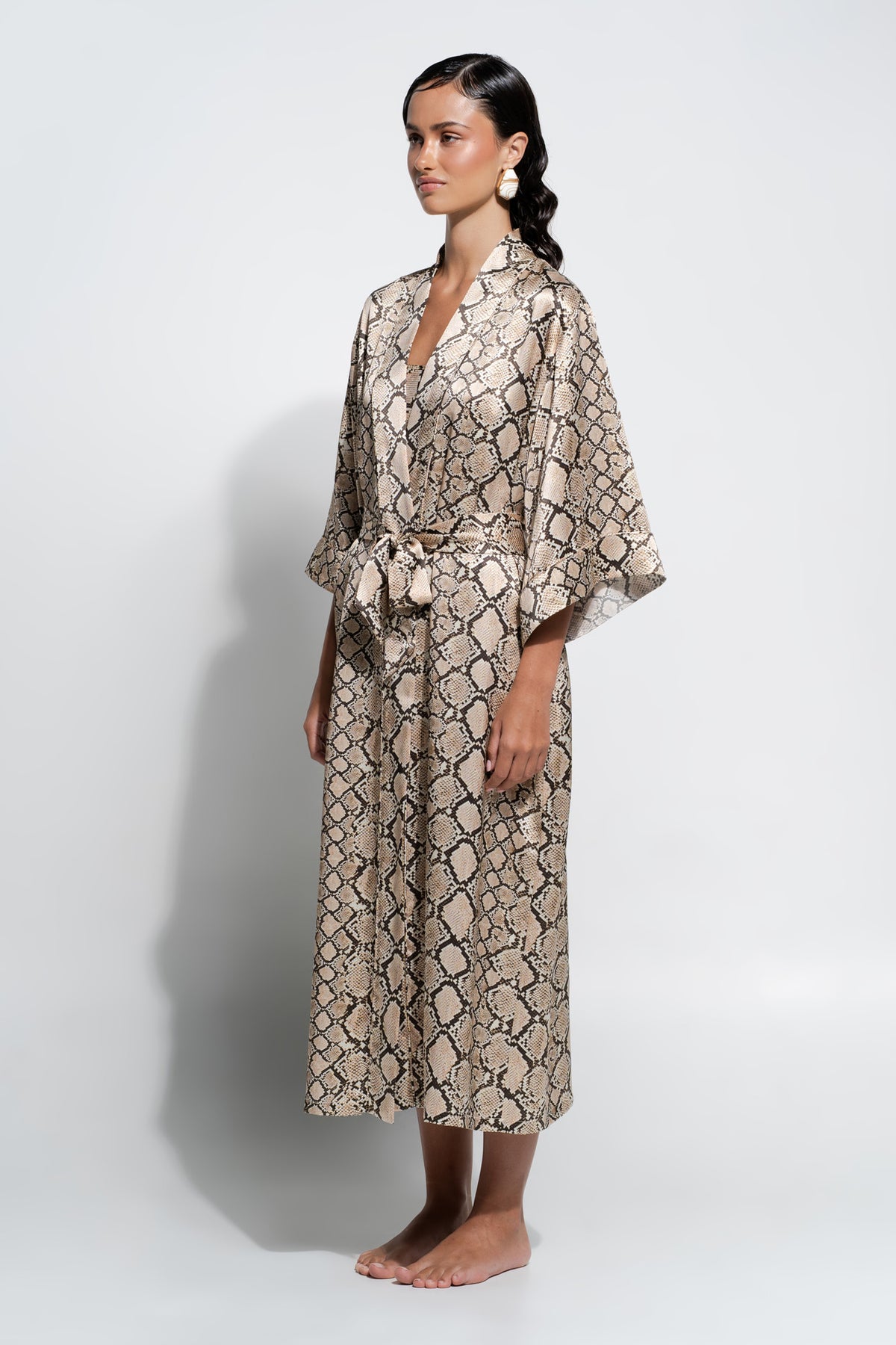 The Silk Robe By GINIA In Python Print