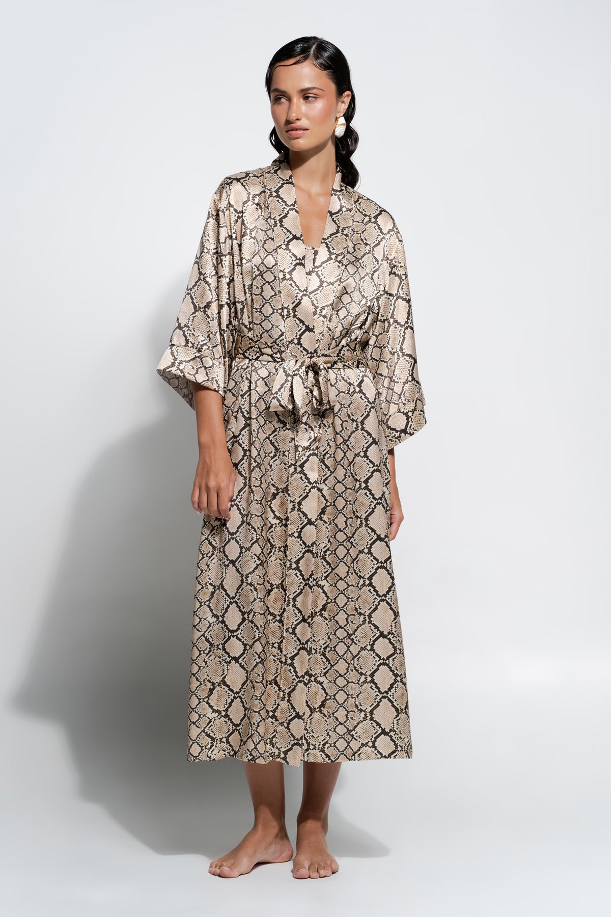The Silk Robe By GINIA In Python Print