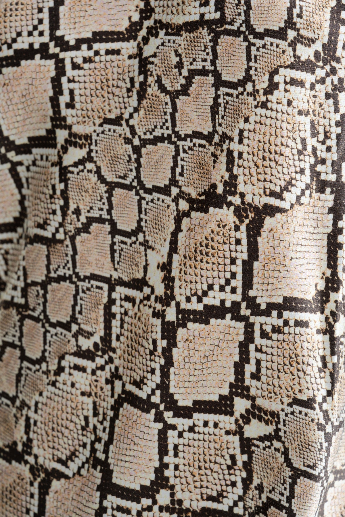 The Silk Robe By GINIA In Python Print