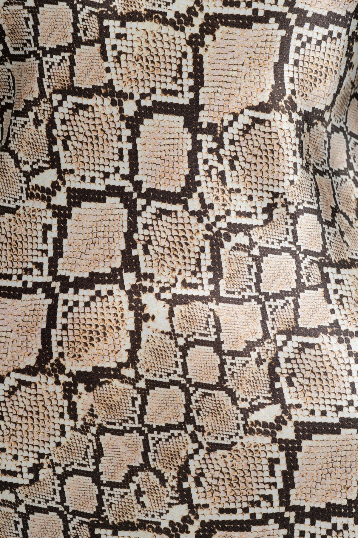 The Silk Singlet by GINIA In Python Print 